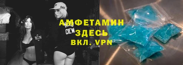 соль ск Дмитриев