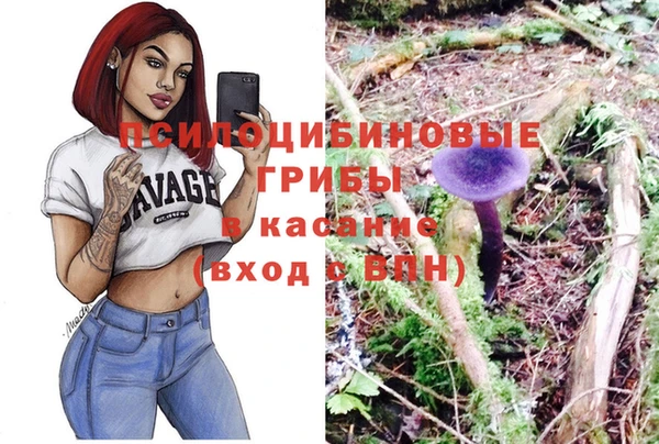 PSILOCYBIN Осташков